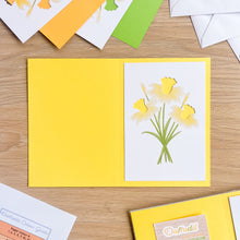 Load image into Gallery viewer, Daffodils Aperture Card (Pack of 3) | 3 x PRINTED Apertures, Coloured Card Blanks & Envelopes | Intermediate