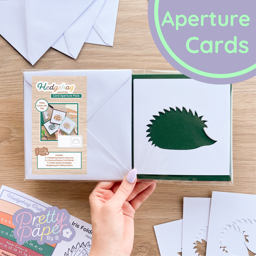 Hedgehog Aperture Card (Pack of 3) | 3 x Apertures, Coloured Card Blanks & White Envelopes | Woodland Christmas