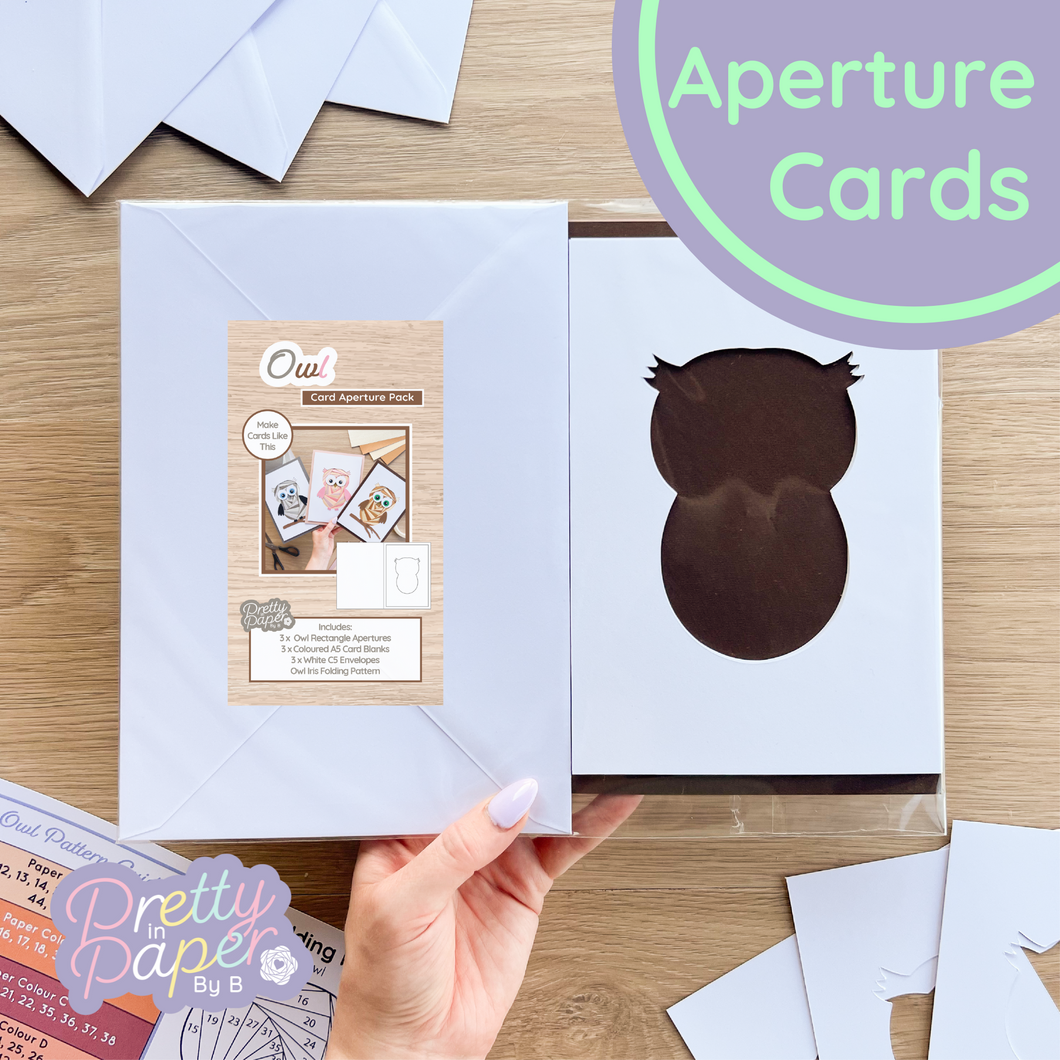 Owl Aperture Card (Pack of 3) | 3 x Apertures, Coloured Card Blanks & Envelopes | Woodland Christmas