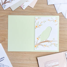 Load image into Gallery viewer, Woodland Owls Aperture Card (Pack of 3) | 3 x PRINTED Apertures, Coloured Card Blanks & Envelopes | Intermediate | Tawny, Barn, Snowy Owls