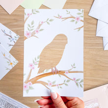 Load image into Gallery viewer, Woodland Owls Aperture Card (Pack of 3) | 3 x PRINTED Apertures, Coloured Card Blanks & Envelopes | Intermediate | Tawny, Barn, Snowy Owls