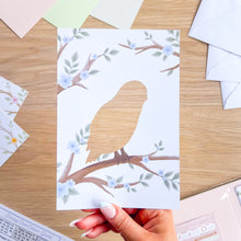 Load image into Gallery viewer, Woodland Owls Aperture Card (Pack of 3) | 3 x PRINTED Apertures, Coloured Card Blanks & Envelopes | Intermediate | Tawny, Barn, Snowy Owls