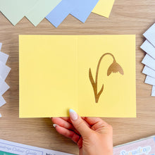 Load image into Gallery viewer, Mini Snowdrop Card Apertures A6 (Pack of 6) | Coloured Card Blanks & Envelopes x6
