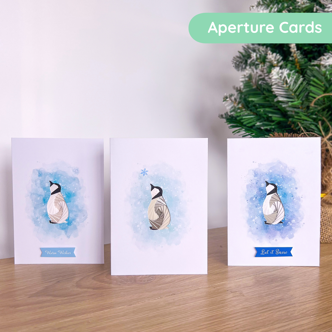 Baby Penguin Printed Aperture Card Pack