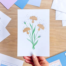 Load image into Gallery viewer, Cornflowers Aperture Card (Pack of 3) | 3 x PRINTED Apertures, Coloured Card Blanks &amp; Envelopes | Intermediate
