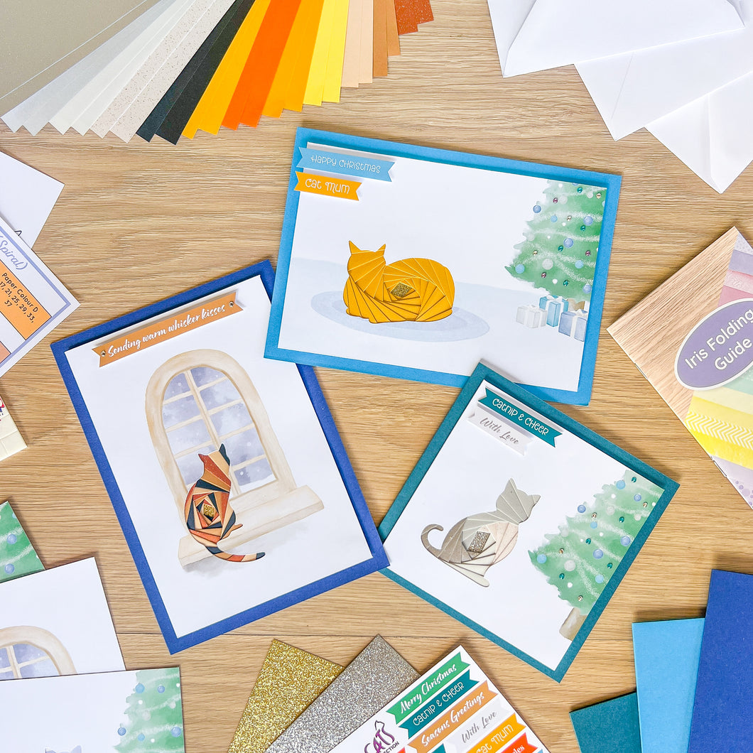 Craft for Cats - Iris Folding Card Making Kit - Winter Frost Edition | Family Card Craft | Charity Fundraiser