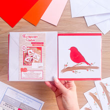 Load image into Gallery viewer, European Robin Card Aperture Pack - embellished edition
