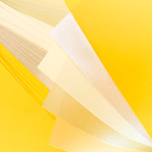 Load image into Gallery viewer, Close-up of the five paper colour options
