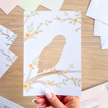 Load image into Gallery viewer, Woodland Owls Aperture Card (Pack of 3) | 3 x PRINTED Apertures, Coloured Card Blanks &amp; Envelopes | Intermediate | Tawny, Barn, Snowy Owls
